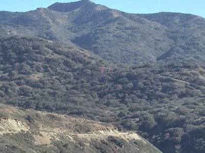Catalina Island Bikepacking Adventure