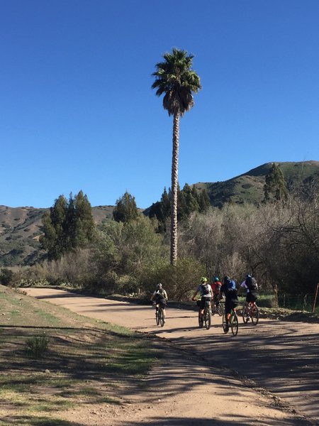 Catalina Island Bikepacking Adventure