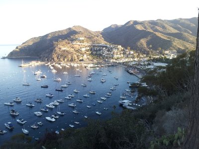 Catalina Island Bikepacking Adventure