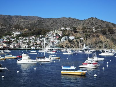 Catalina Island Bikepacking Adventure