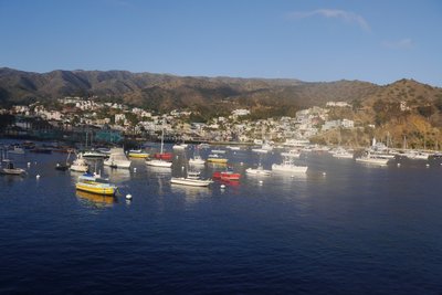 Catalina Island Bikepacking Adventure