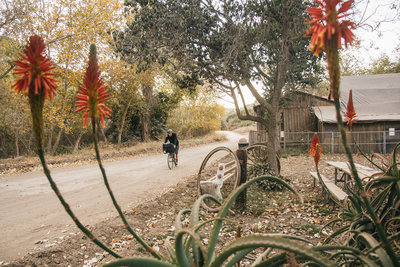 Catalina Island Campout with Surly Bikes