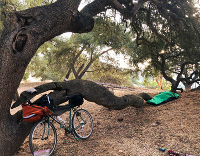 Catalina Island Campout with Surly Bikes