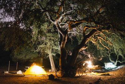 Catalina Island Campout with Surly Bikes