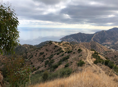 Catalina Island Campout with Surly Bikes