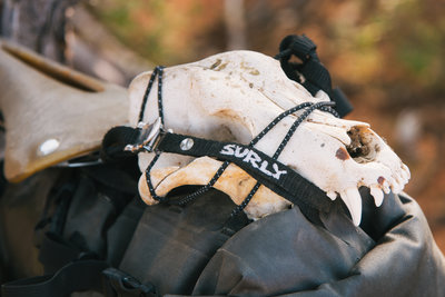 Catalina Island Campout with Surly Bikes