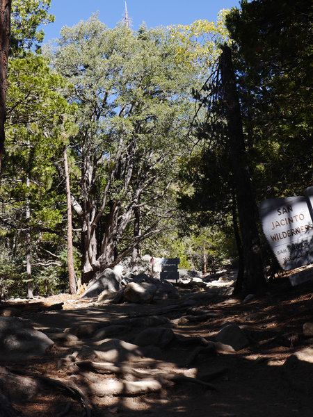 Idyllwild Camping Trip Adventure