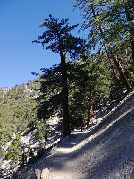 Idyllwild Camping Trip Adventure