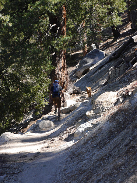 Idyllwild Camping Trip Adventure