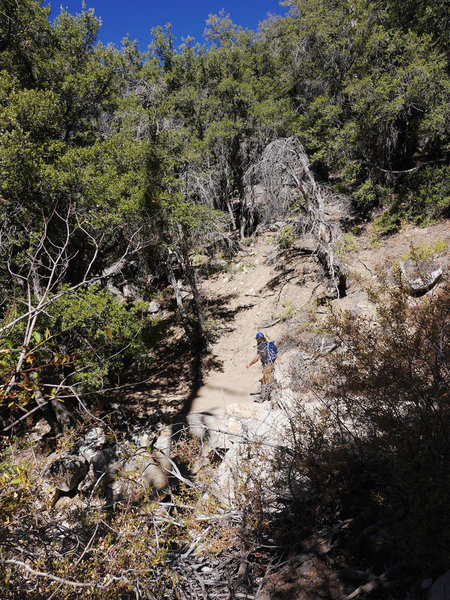 Idyllwild Camping Trip Adventure