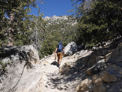 Idyllwild Camping Trip Adventure