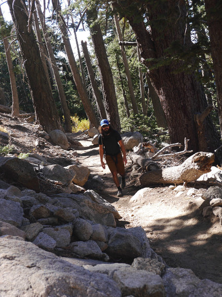 Idyllwild Camping Trip Adventure