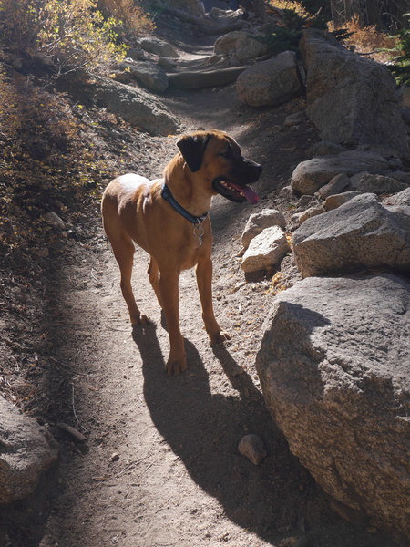 Idyllwild Camping Trip Adventure