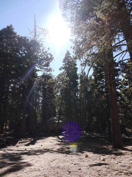 Idyllwild Camping Trip Adventure