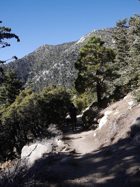 Idyllwild Camping Trip Adventure