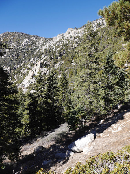 Idyllwild Camping Trip Adventure