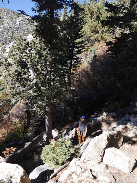 Idyllwild Camping Trip Adventure