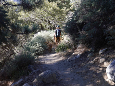 Idyllwild Camping Trip Adventure