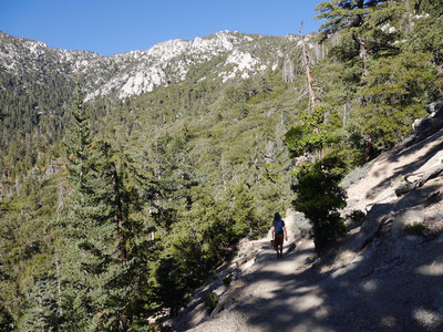 Idyllwild Camping Trip Adventure