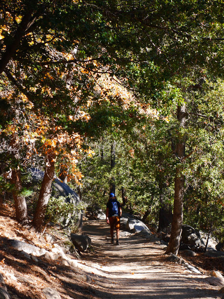 Idyllwild Camping Trip Adventure