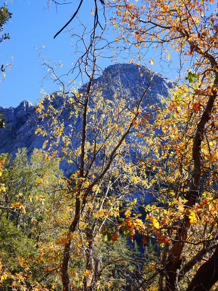 Idyllwild Camping Trip Adventure