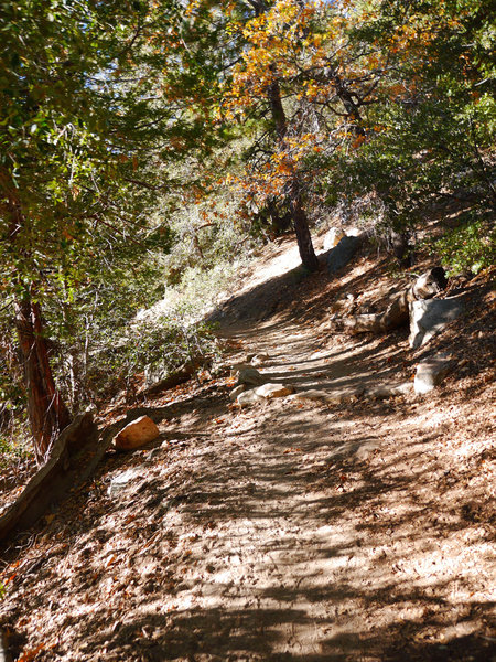 Idyllwild Camping Trip Adventure