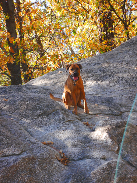 Idyllwild Camping Trip Adventure