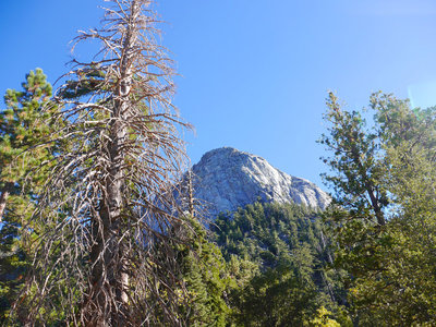 Idyllwild Camping Trip Adventure