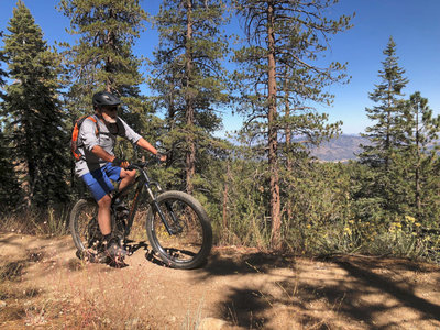 Intergalactic Surly Day Campout in Mount Pinos, CA