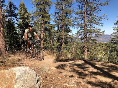 Intergalactic Surly Day Campout in Mount Pinos, CA