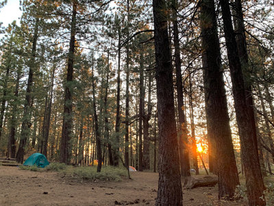 Intergalactic Surly Day Campout in Mount Pinos, CA