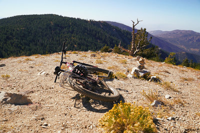 Intergalactic Surly Day Campout in Mount Pinos, CA