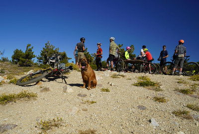 Intergalactic Surly Day Campout in Mount Pinos, CA