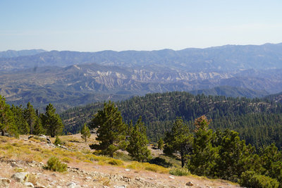 Intergalactic Surly Day Campout in Mount Pinos, CA