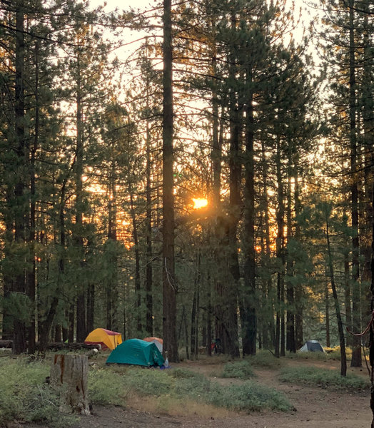 Intergalactic Surly Day Campout in Mount Pinos, CA