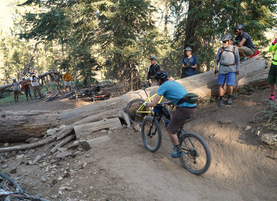 Intergalactic Surly Day Campout in Mount Pinos, CA