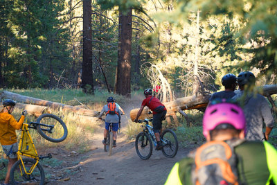 Intergalactic Surly Day Campout in Mount Pinos, CA