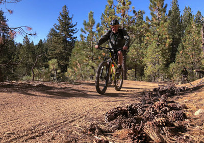 Intergalactic Surly Day Campout in Mount Pinos, CA