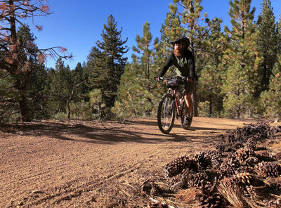 Intergalactic Surly Day Campout in Mount Pinos, CA