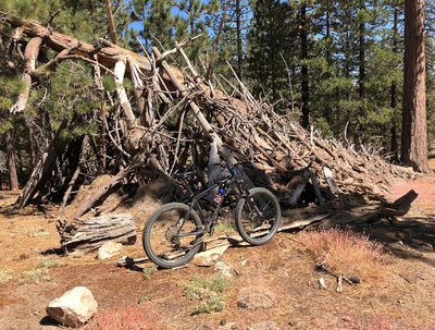 Intergalactic Surly Day Campout in Mount Pinos, CA