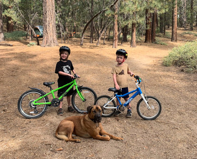 Intergalactic Surly Day Campout in Mount Pinos, CA