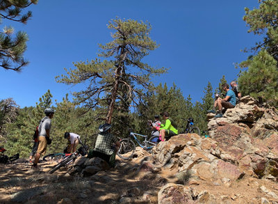 Intergalactic Surly Day Campout in Mount Pinos, CA