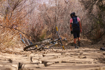 Los Padres National Forest Bikepacking