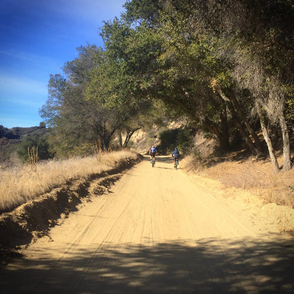 Los Padres National Forest Bikepacking