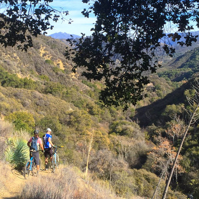 Los Padres National Forest Bikepacking