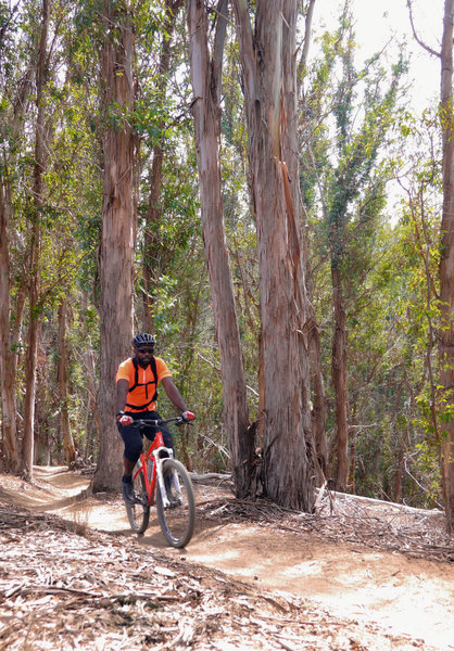 Montaña de Oro Bikepacking Adventure