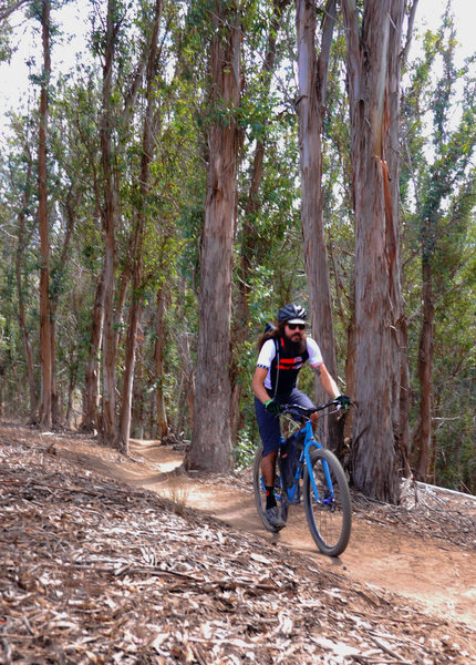 Montaña de Oro Bikepacking Adventure