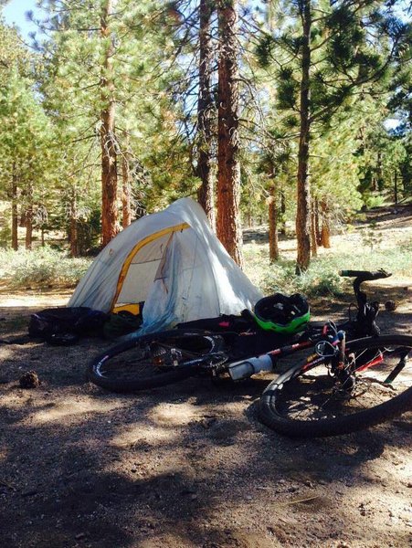 Mount Pinos Bikepacking Trip