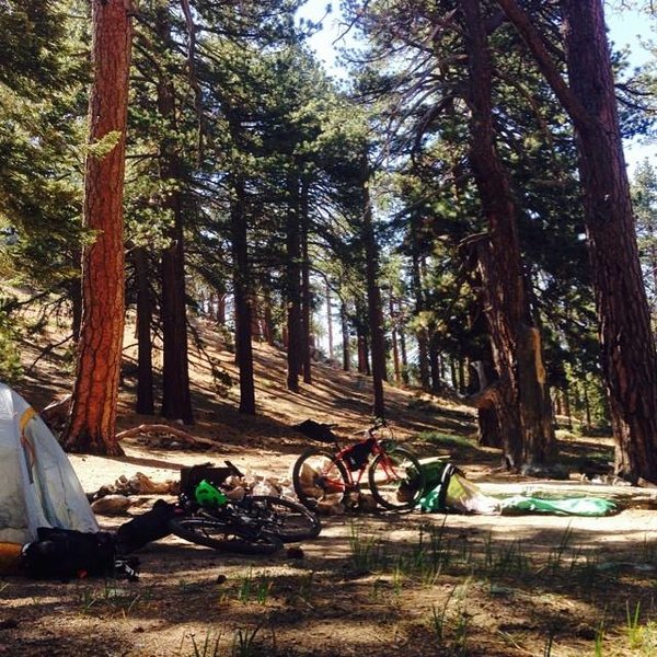 Mount Pinos Bikepacking Trip