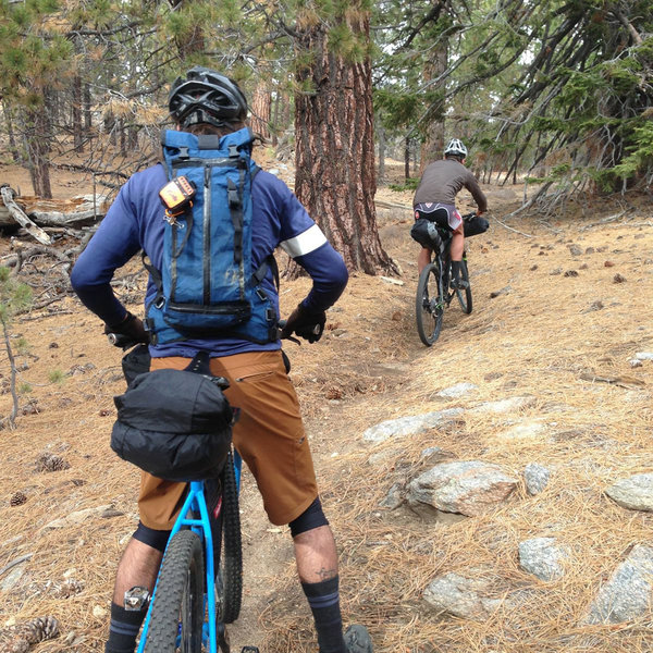 Mount Pinos Biking and Camping Adventure